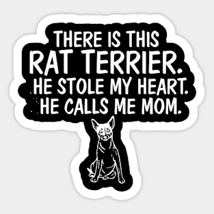 There is This Rat Terrier He Stole Heart He Calls Me Mom Sticker